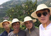 恒纯签约果园供应秭归夏橙即将到货啦